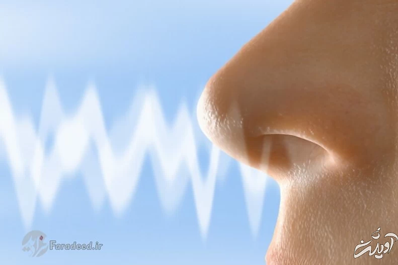 کرونا ممکن است تا یک سال حس بویایی مبتلایان را مختل کند